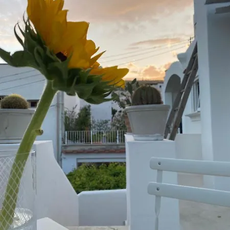 Edivino Design 3* Capri