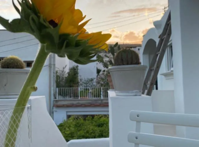 Edivino Design 3* Capri