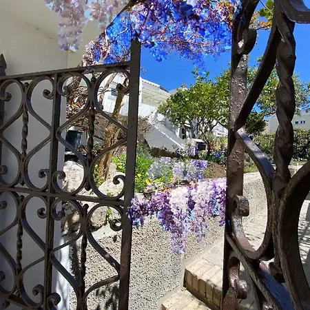 Edivino Design Κάπρι