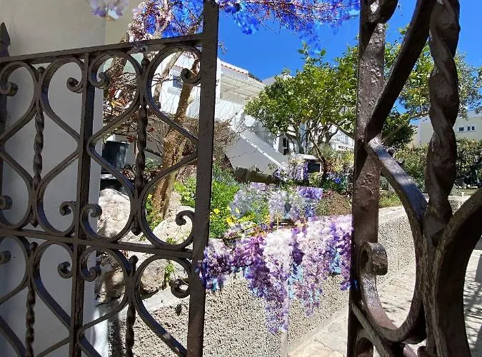 Edivino Design Capri